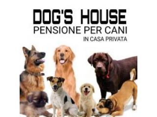 Dog'S House Pensione per Cani