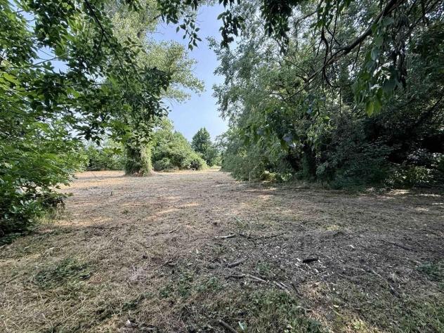 La bifamiliare col boschetto: un angolo di natura e spazio ad Alfonsine - Foto 11