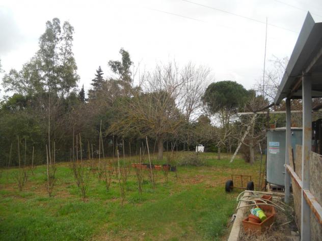 Terreno agricolo in vendita a Livorno 2000 mq Rif: 1023871 - Foto 3
