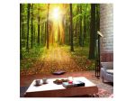 Fotomurale Adesivo Nel Viale Della Foresta Arredalacasa