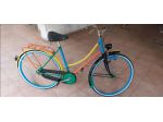 Bici donna vintage
