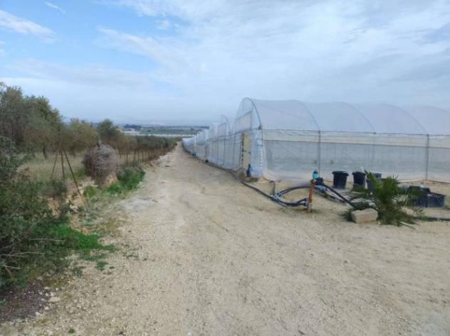 Immobile in asta di 48970 m² in vendita a Noto - Foto 2