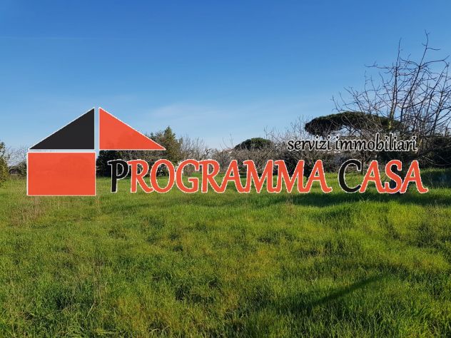 POMEZIA ZONA CASTAGNETTA VIA TIGLI TERRENO PROX EDIFICBILITA 2300 MQ - Foto 5