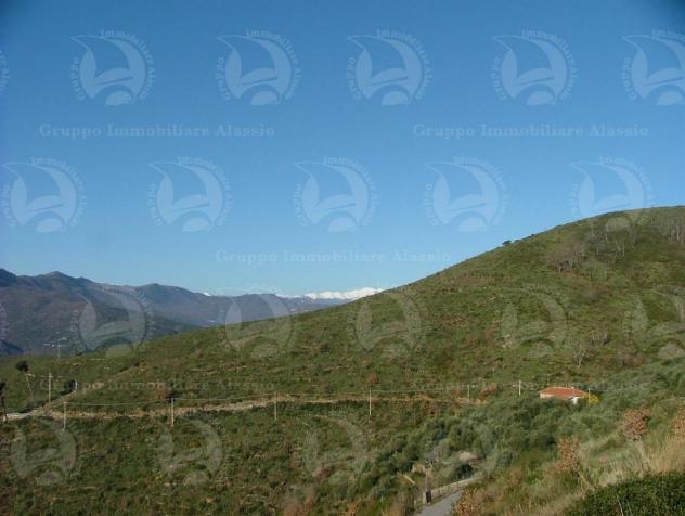 Alassio Andora, terreno incolto collinare, vista mare. - Foto 5