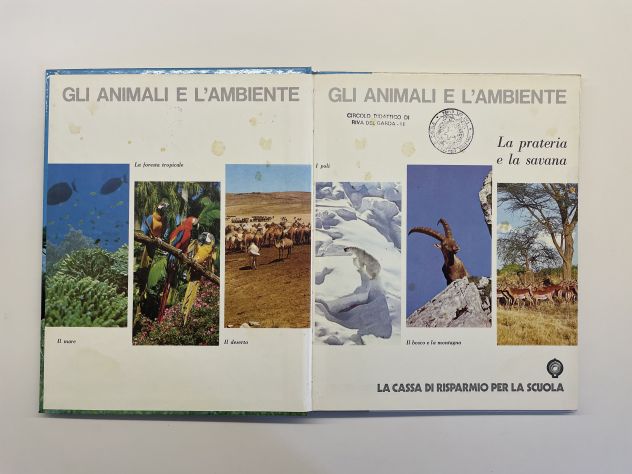 Gli animali e l'ambiente, La prateria e la savana, F. Colombo, 1974 - Foto 2