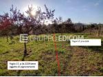 Terreno di 2080 mq  in vendita a Benevento - Rif. 4548673