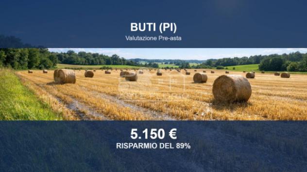 Immobile in asta di 11150 m² in vendita a Capannori