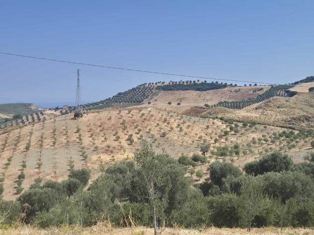 Agricolo in Contrada Strange - Foto 5