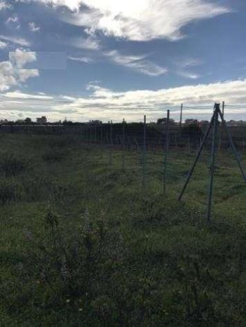 V1571 - In vendita a Petrosino terreno agricolo e B3 - Foto 3