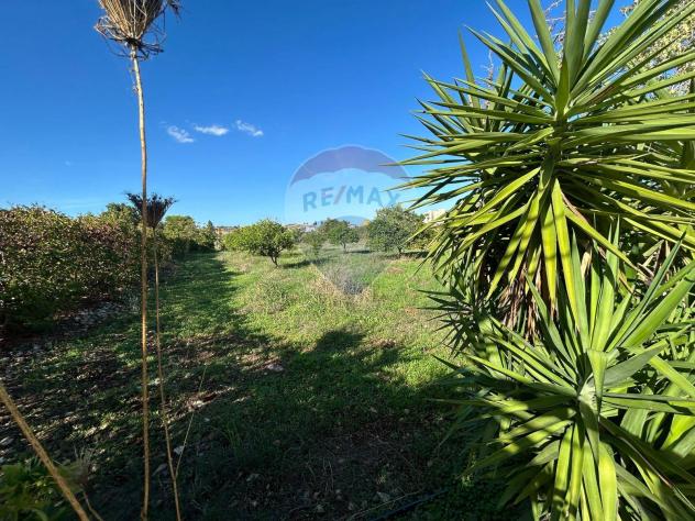 Terreno in vendita a Priolo Gargallo - Foto 4