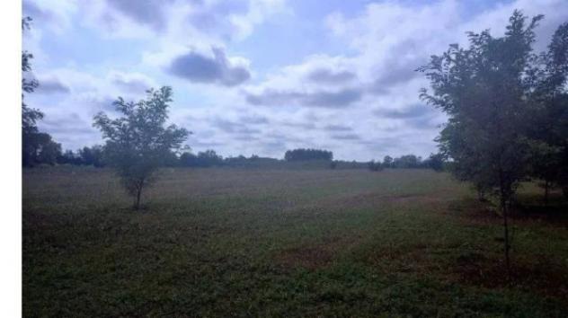 Immobile in asta di 33070 m² in vendita a Sesto al Reghena - Foto 2