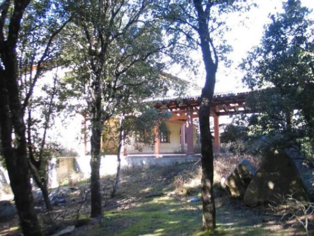 Immobile in asta di 3588 m² in vendita a Ilbono - Foto 3