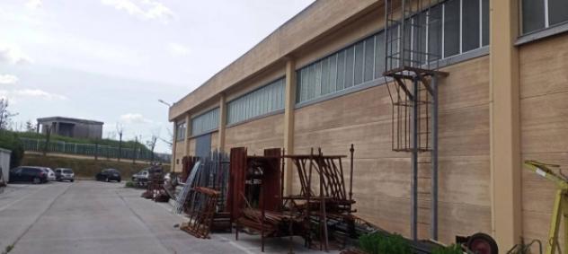 Immobile in asta di 2880 m² in vendita a Frosinone - Foto 3