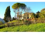 Scarperia (Sant'Agata) - Colonica con giardino