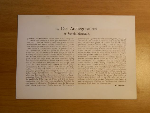 Serie di 8 litografie Harder-Bölsche: Tiere der Urwelt - Foto 4