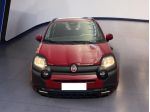 FIAT Pandina Panda My25 1.0 70cv Hybrid Pandina