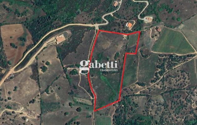 Terreno Residenziale - Budoni . Rif.: Cod. rif 3261193VRG - Foto 16