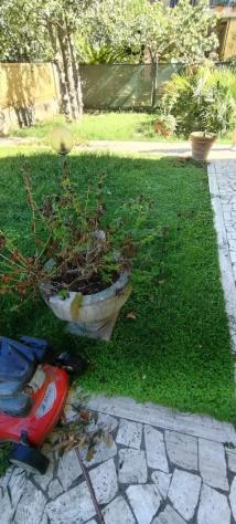 Appartamento in vendita a Massa 125 mq Rif: 1266154 - Foto 8