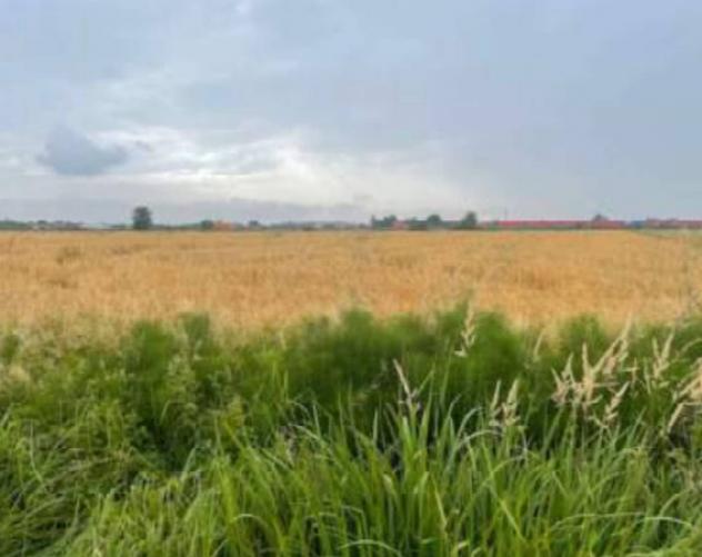 Immobile in asta di 32085 m² in vendita a Portogruaro - Foto 8