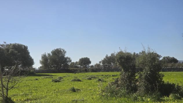 Agricolo in vendita a Siracusa - Foto 16