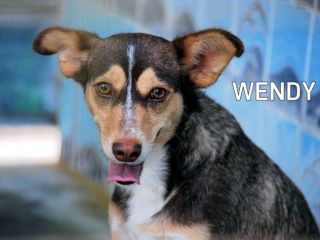 Wendy (taglia piccola)