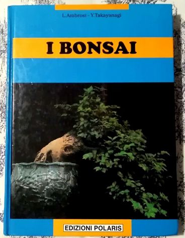 I bonsai di Ambrosi, Takayanagi