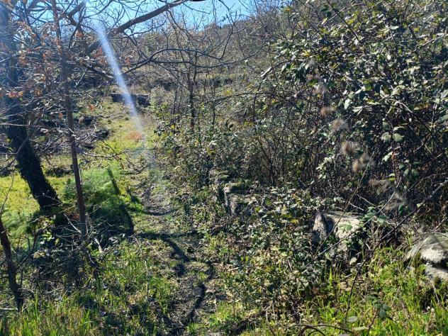 Terreno in vendita a Piedimonte Etneo - Foto 3