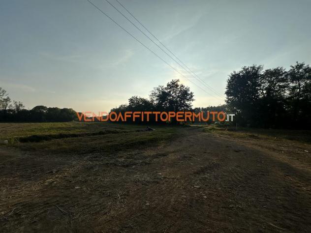 TERRENO AGRICOLO 4.400MQ - Foto 4