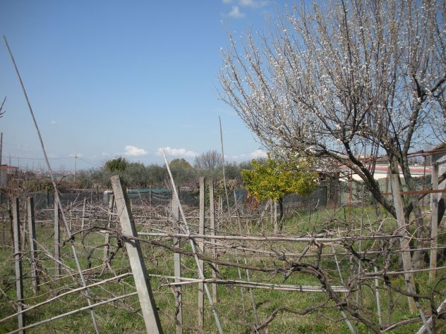 VALLE MARTELLA | Lotti di terreno edificabili - Foto 8