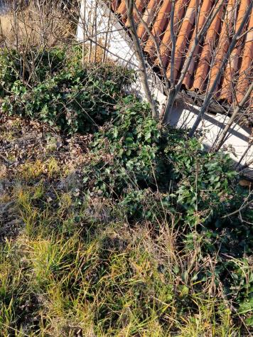 Villa in Via Madonnetta - Foto 11
