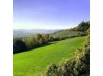 Montagnola di Mezzo
