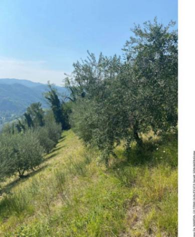 Immobile in asta di 1344 m² in vendita a Modigliana - Foto 8