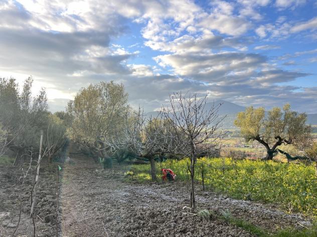Agricolo in Via Molino Vecchio - Foto 8