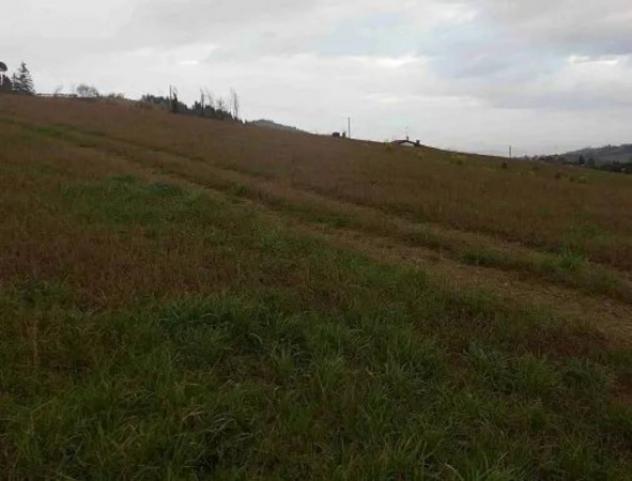 Immobile in asta di 7665 m² in vendita a Montecalvo in Foglia - Foto 5