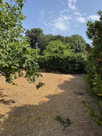 Terreno edificabile in vendita a Nettuno - Foto 3