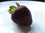 Fragola scura Annelie