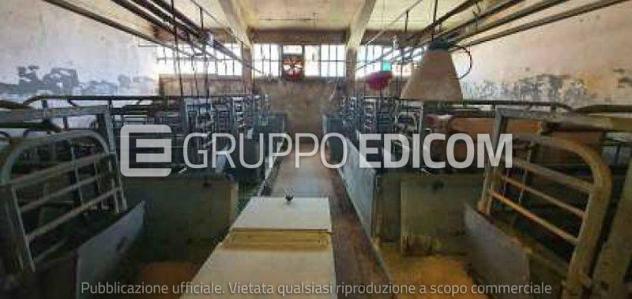 Fabbricato rurale in vendita a Castrocaro Terme e Terra del Sole - Rif. 4548506 - Foto 4