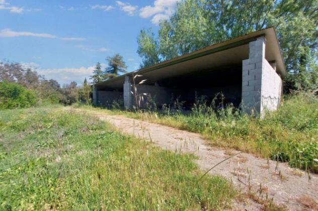 Immobile in asta di 516 m² con più di 5 locali in vendita a Roma - Foto 14