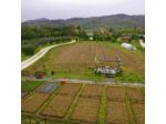 Agriturismo Cuprena