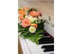 Musica matrimonio