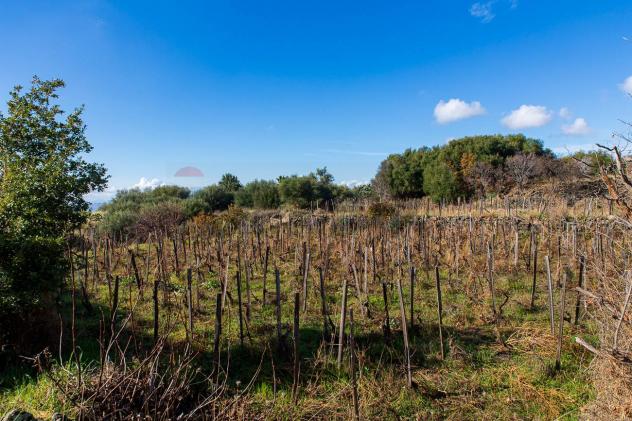Terreno in vendita a Biancavilla