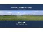 Immobile in asta di 44610 m² in vendita a Cellino San Marco