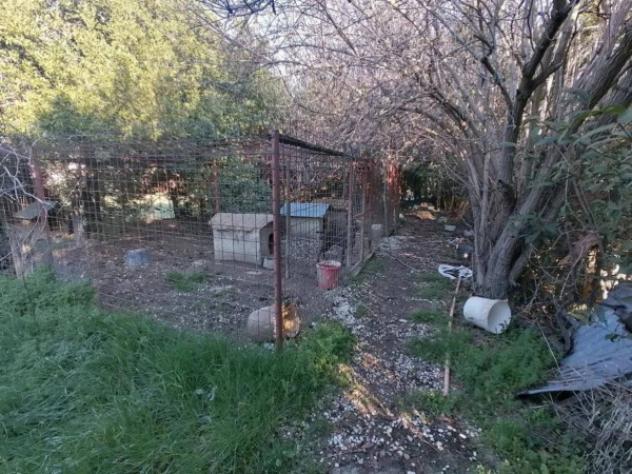 Immobile in asta di 514 m² in vendita a Grottazzolina - Foto 5