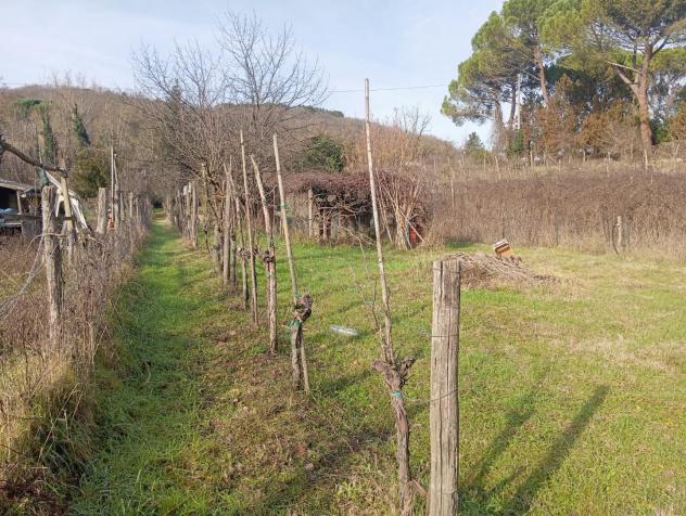 Terreno agricolo in vendita a Poggibonsi 800 mq Rif: 1401129