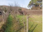 Terreno agricolo in vendita a Poggibonsi 800 mq  Rif: 1401129