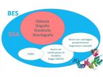 Docente