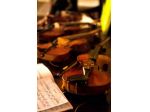 Lezioni di Violino a domicilio