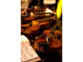 Lezioni di Violino a domicilio