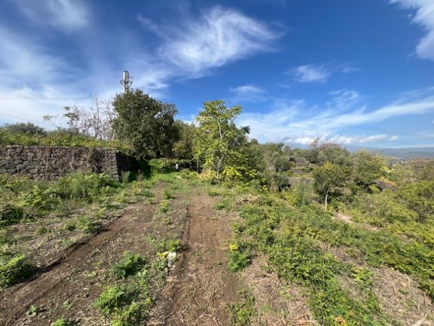 Vendesi terreno agricolo a Santa Venerina strada provinciale - Foto 9