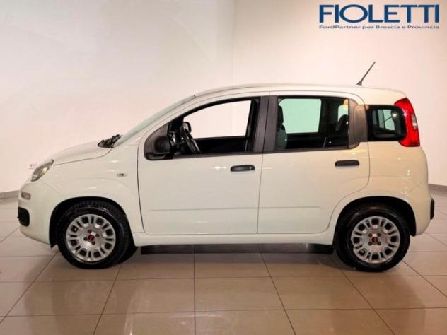 FIAT Panda 1.3 MJT 95 CV S&S EASY - Foto 4